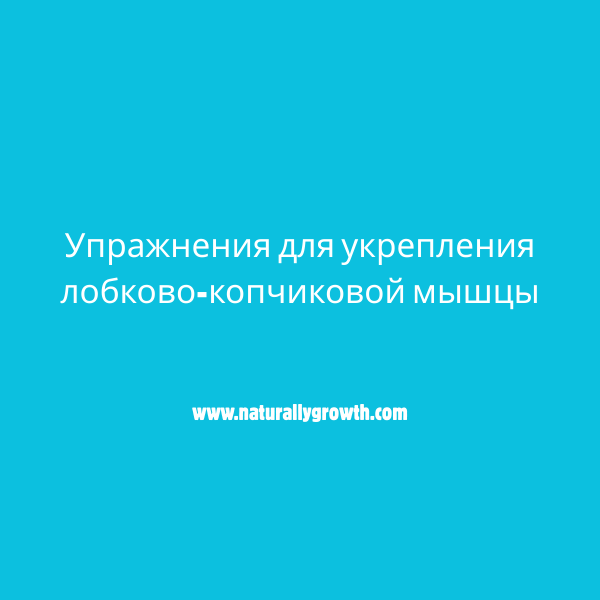 Упражнения для укрепления лобково-копчиковой мышцы